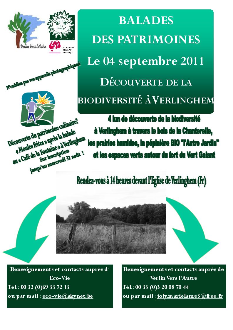 affiche Verlinghem
