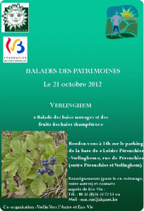 cliquer pour agrandir
