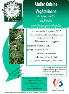 cliquer pour agrandir