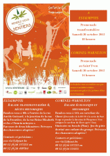 cliquer pour agrandir