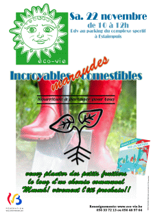 cliquer pour agrandir
