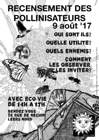cliquer pour agrandir