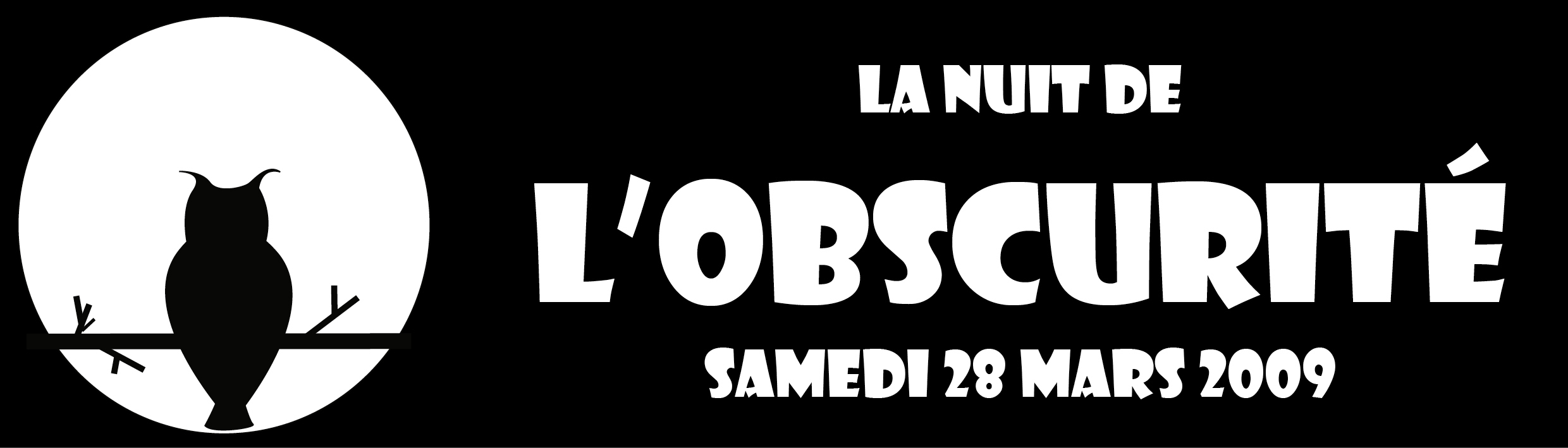chouette nocturne